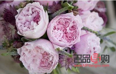 美容养颜之花：探寻花朵中的美丽秘密