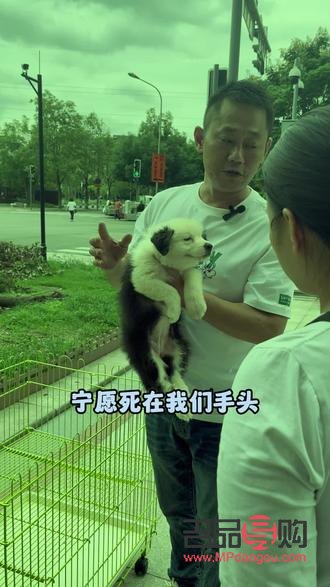 内双眼皮男生的魅力之谜