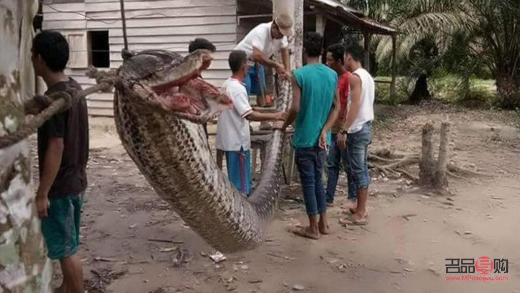 米东区男士礼物店在哪(米东区男士礼物店在哪里)