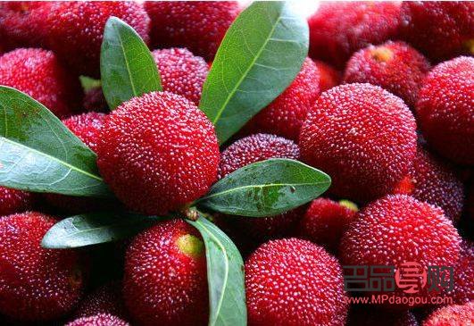 什么东西能美容(什么东西能美容养颜)