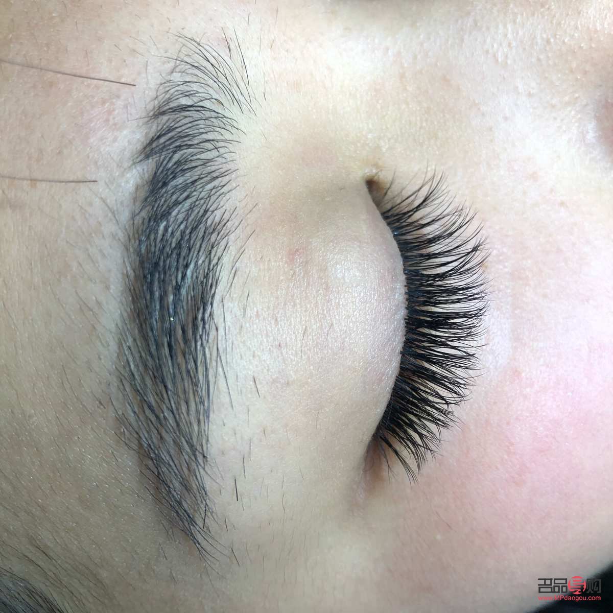 做眼睫毛需要多少钱一次(做眼睫毛需要多少钱一次呢)