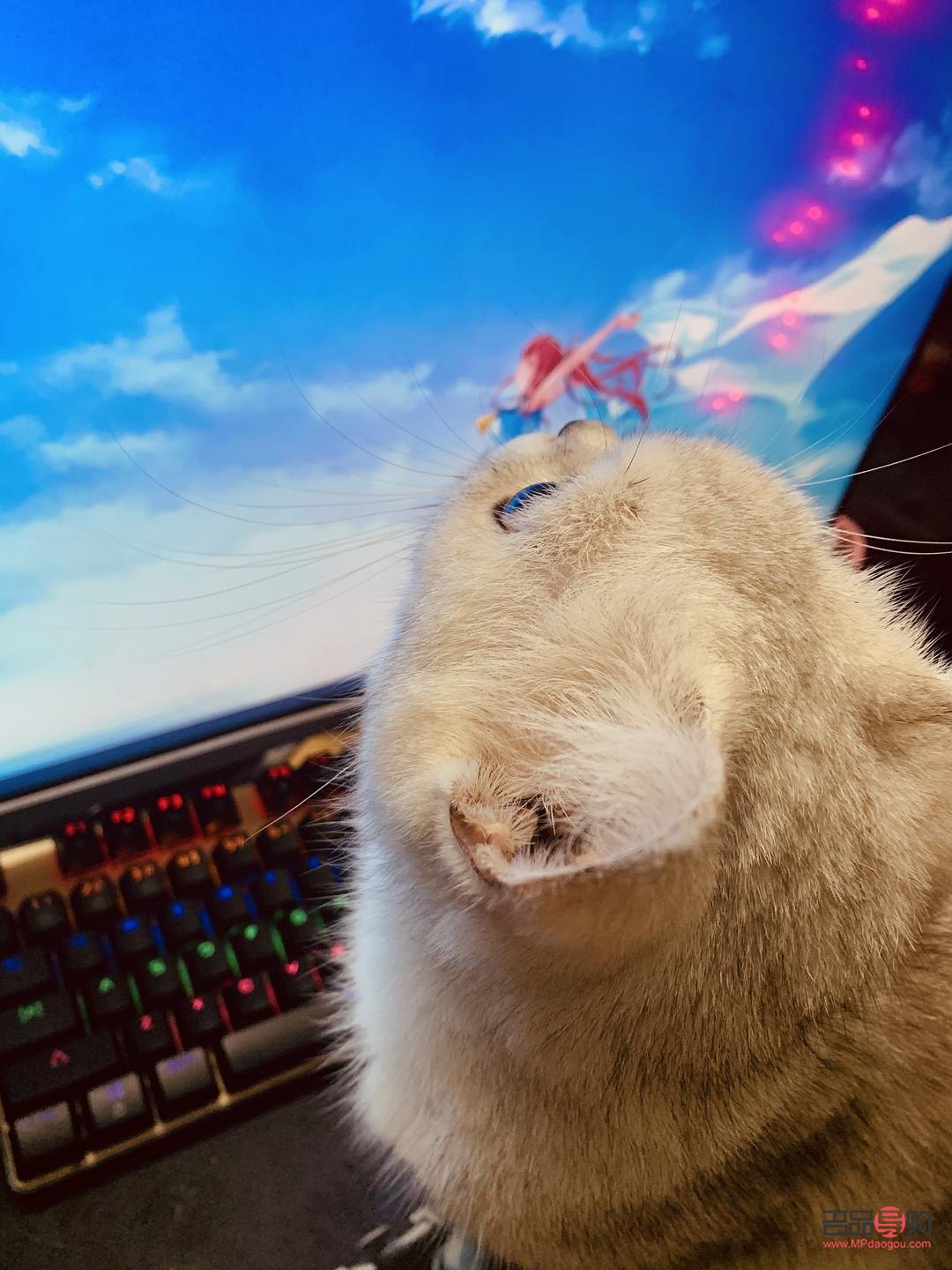 眼镜护理液能擦身体吗