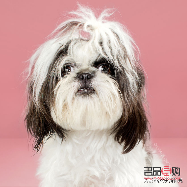 日式美容的奥秘与实践