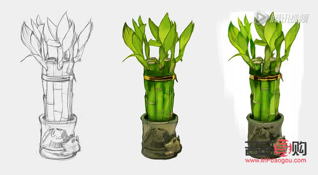 <h3>竹礼物的绘画技巧</h3>