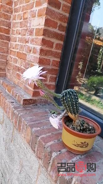 美容怎么样头发(美容怎么样头发好看)