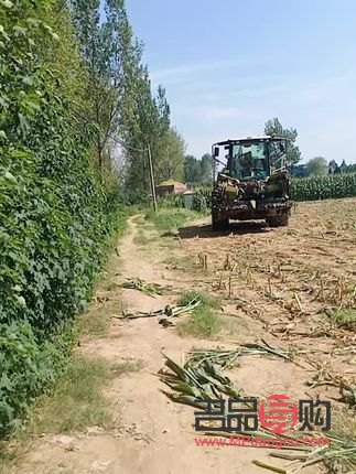 <h3>企鹅收获礼物的奇妙之旅</h3>