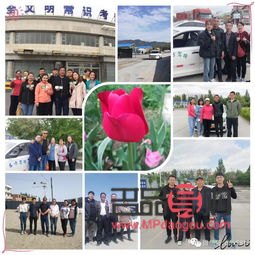 什么礼物可以送小孩子(什么礼物送小孩子比较好)