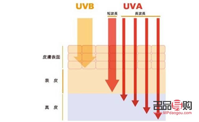 <h3>掌握这些方法，轻松实现美容祛斑</h3>