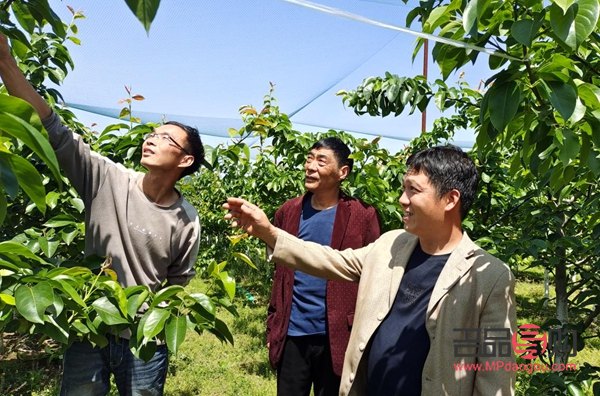 中国农业银行黄金(中国农业银行黄金价格今天多少一克)