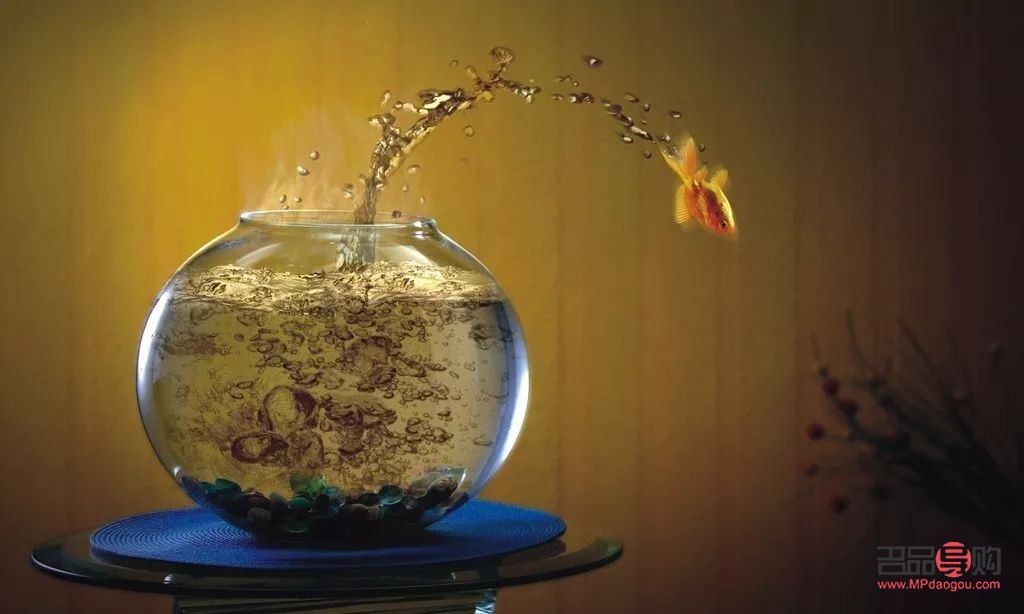 家族搬家送什么礼物(家族搬家送什么礼物比较好)