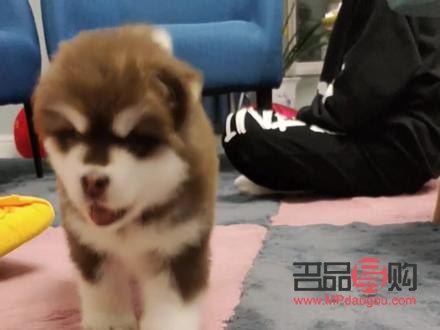 梵什么美容院(梵什么美容院名字好听)