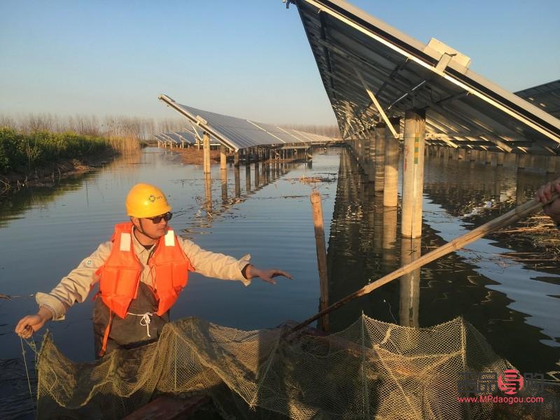 阜宁黄金回收价格探究