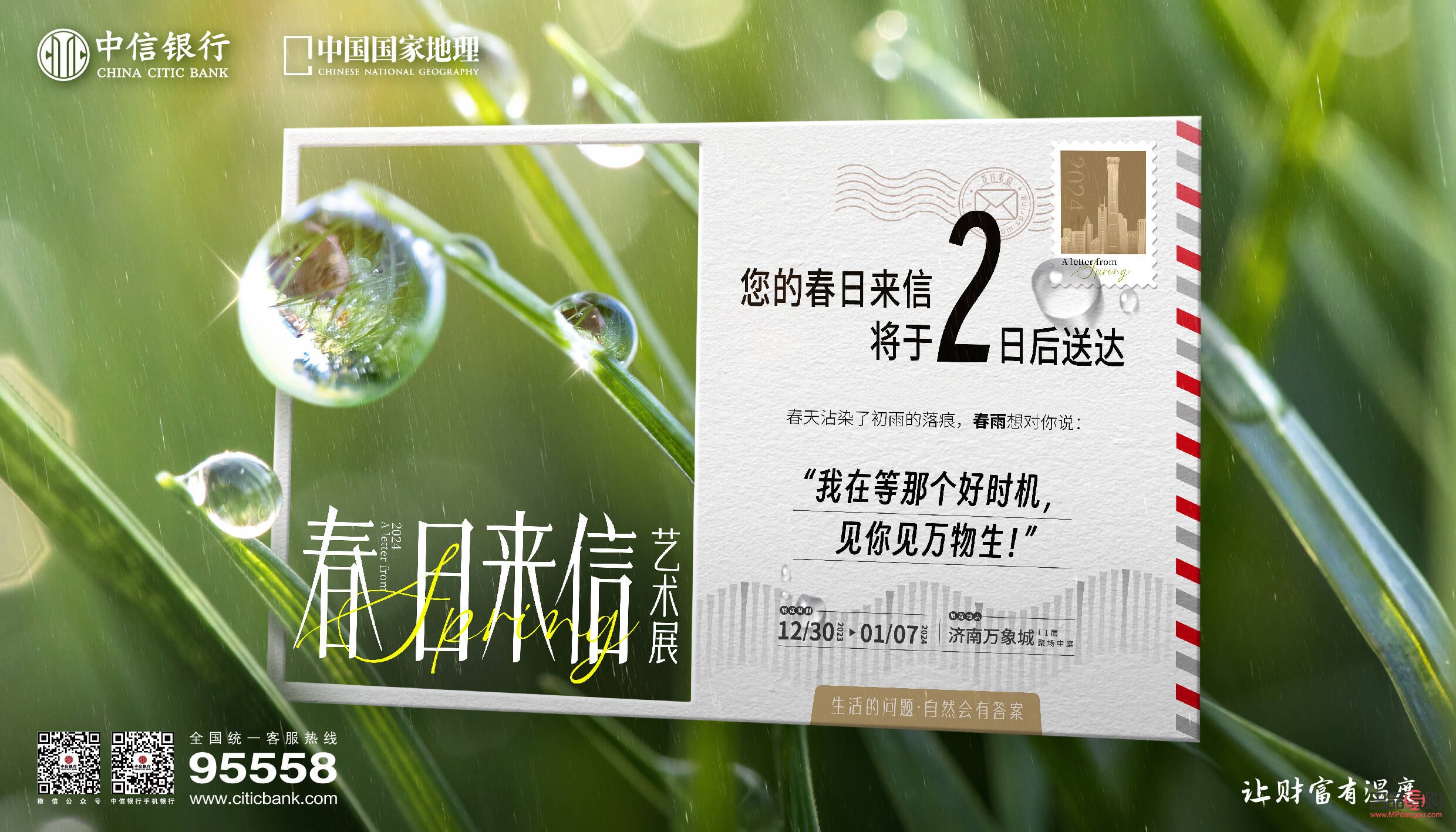 中信银行纸黄金行情查看指南