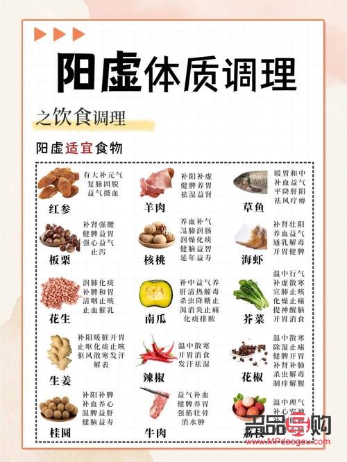 <h3>阳虚体质的调理与护理</h3>