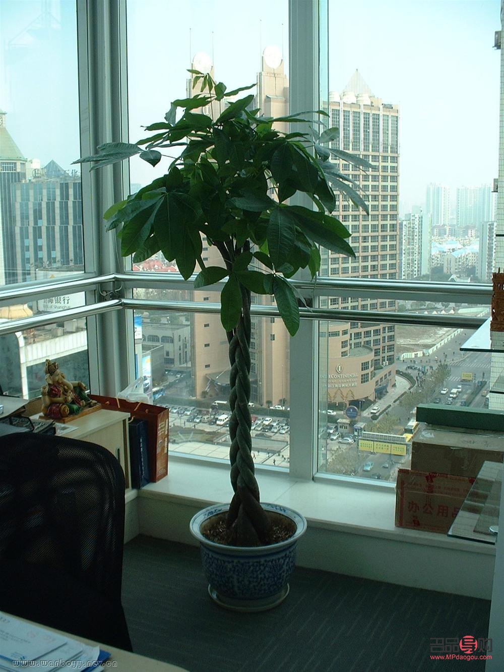 弟弟乔迁礼物刻什么字(弟弟乔迁礼物刻什么字好)