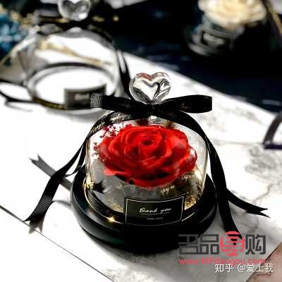 <h3>老婆回家，选什么礼物最能温暖她的心？</h3>