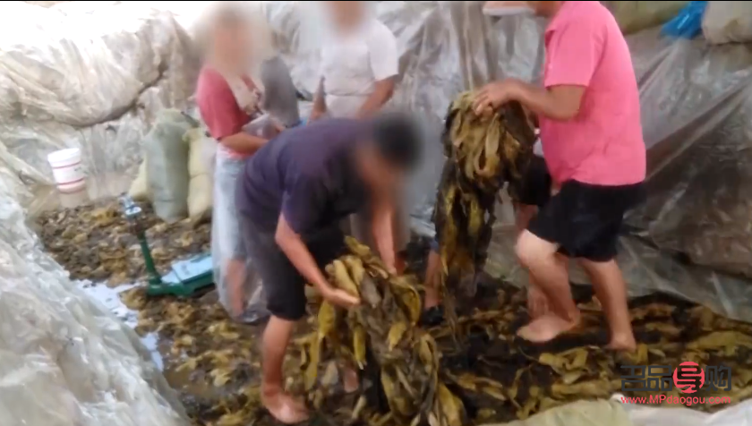 美俏彩妆怎么拿货(美俏彩妆怎么拿货的)