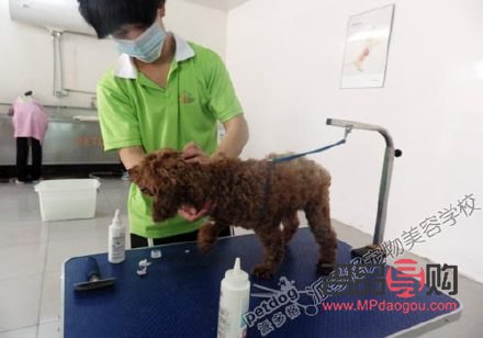 学美容要去哪里学(学美容要去哪里学比较好)