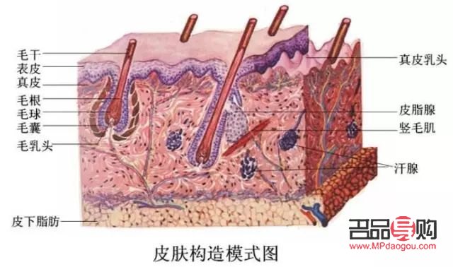 <h3>酸奶身体护理：滋养肌肤的新选择</h3>