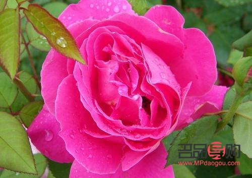 <h3>保平安之礼：传统与现代的守护寓意</h3>