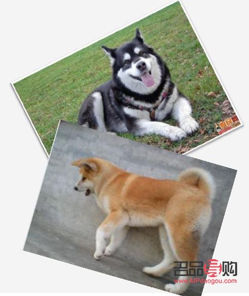 什么是美容院托管(什么是美容院托管服务)