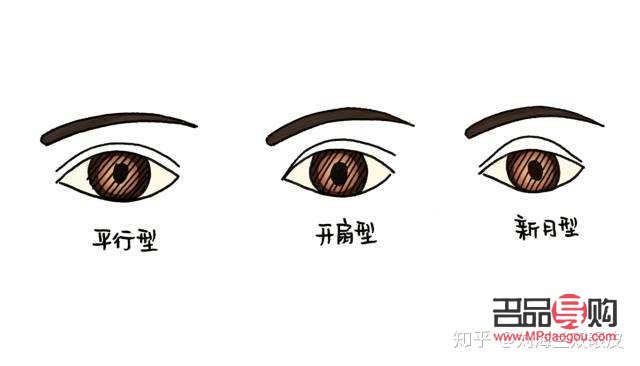 新月双眼皮长什么样子(新月双眼皮特点)