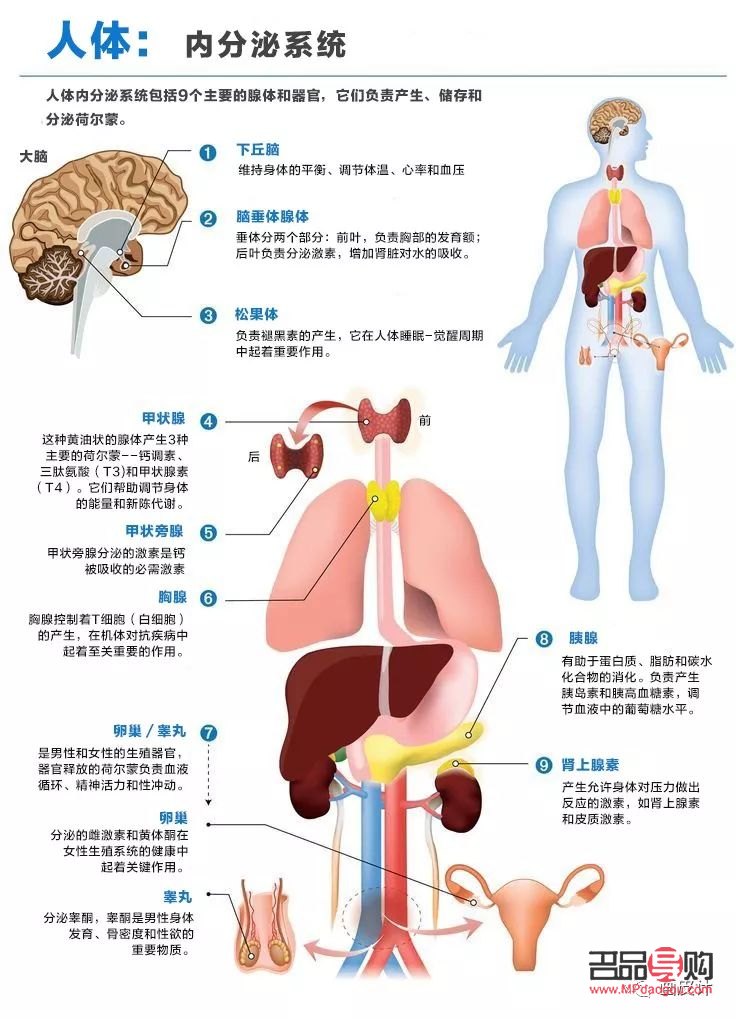 激素治疗下的身体护理之道