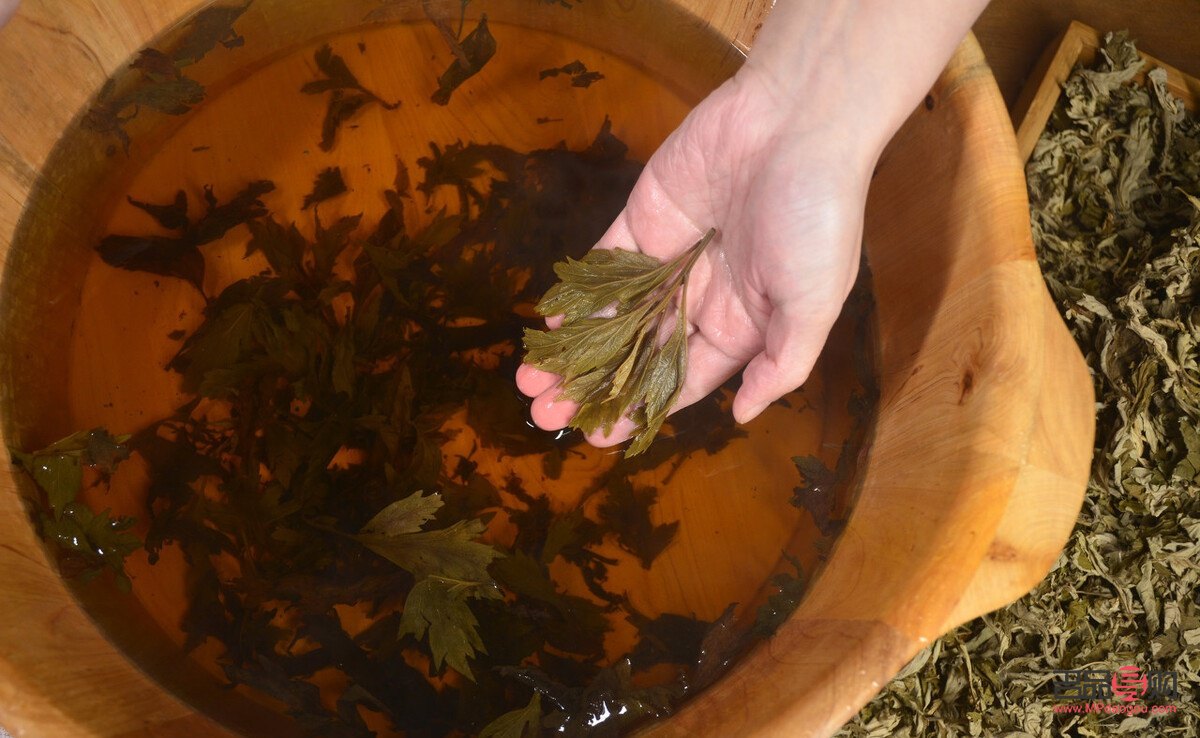 艾叶泡脚美容吗(艾叶泡脚可以美容养颜吗)