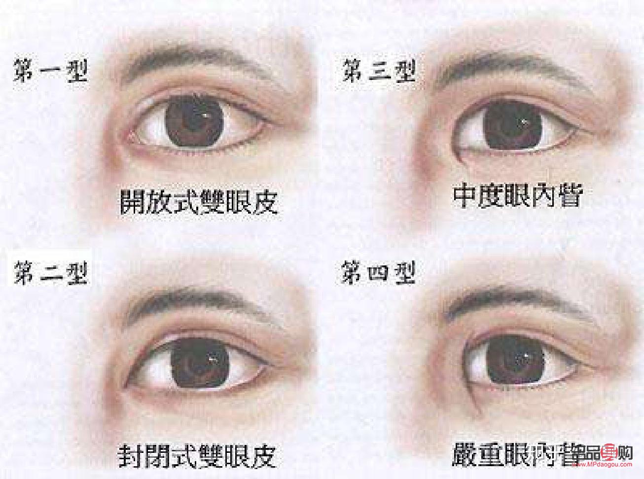 双眼皮分为哪种好看(双眼皮分为哪种好看的图片)