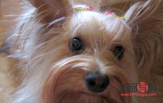 怎么护理身体范文(怎么护理身体健康)