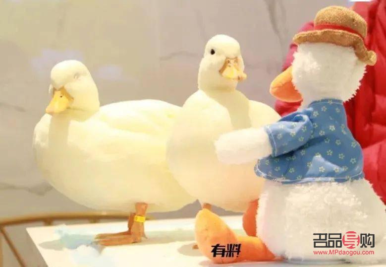 <h3>美容院与鸭子：一场意外的跨界碰撞</h3>