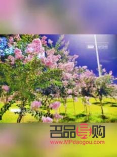 怎么教彩妆(彩妆怎么学)