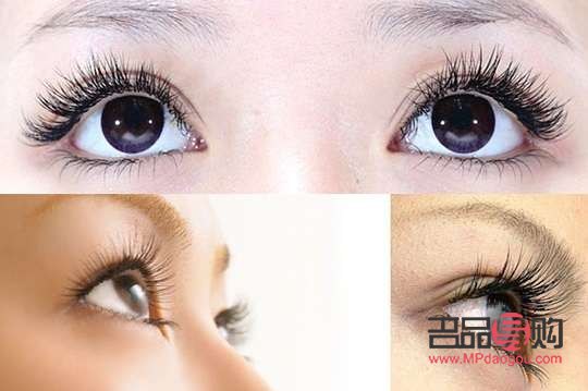 做眼睫毛需要多少钱(做眼睫毛需要多少钱)