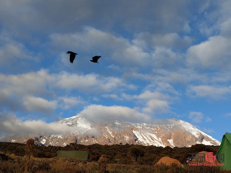 11岁喜欢什么礼物(11岁喜欢什么礼物女孩)