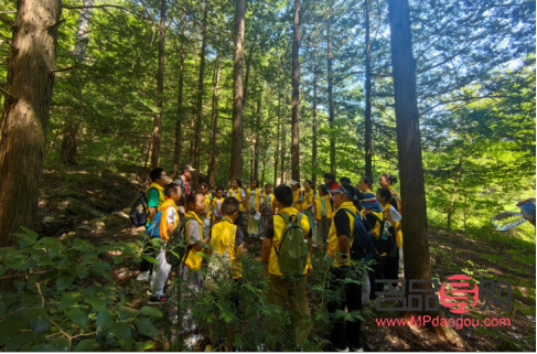 <h3>探索小平行双眼皮的魅力：效果图解析与指南</h3>