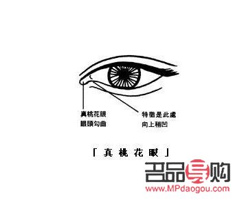 5G桃花眼原理：科技之美与视觉艺术的完美结合