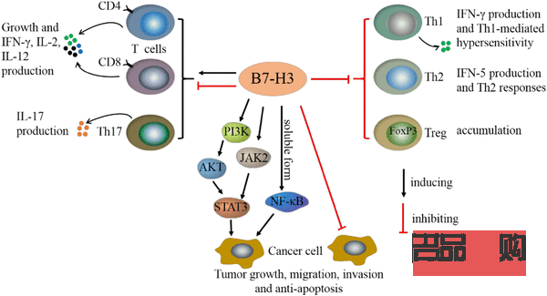 彩妆蛋陈列艺术：打造吸睛展示，提升销售魅力