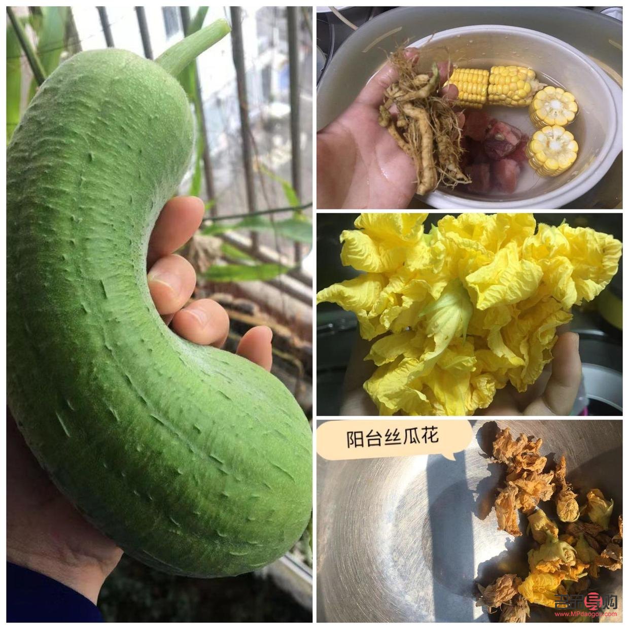 茶水可以美容吗(茶水可以美容吗女性) 茶水可以美容吗(茶水可以美容吗女性)