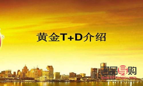投资咨询公司黄金(投资咨询公司合法吗)