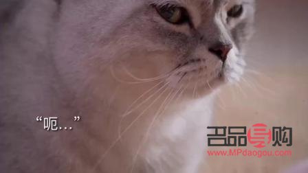 串串店开业送啥礼物好(串串店开业送啥礼物好一点)