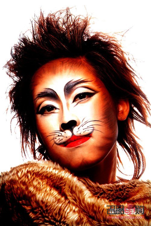 <h3>动物彩妆绘制指南</h3>