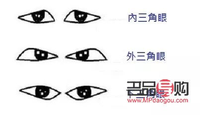 男人眼型大全(男人眼型大全名称及图片) 男人眼型大全(男人眼型大全名称及图片)