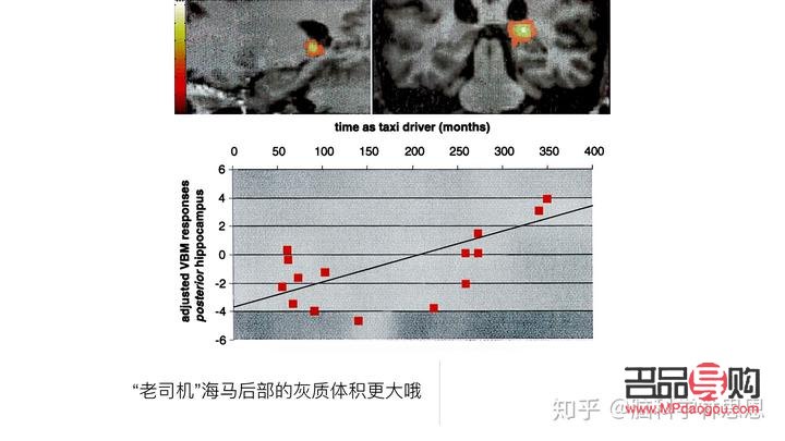 <h3>中信银行黄金实时行情分析</h3>