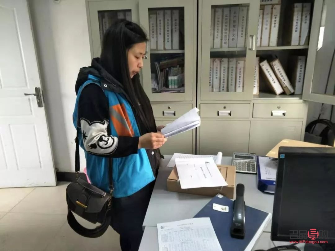 <h1>地表美容师：城市美化的绿色使者</h1>