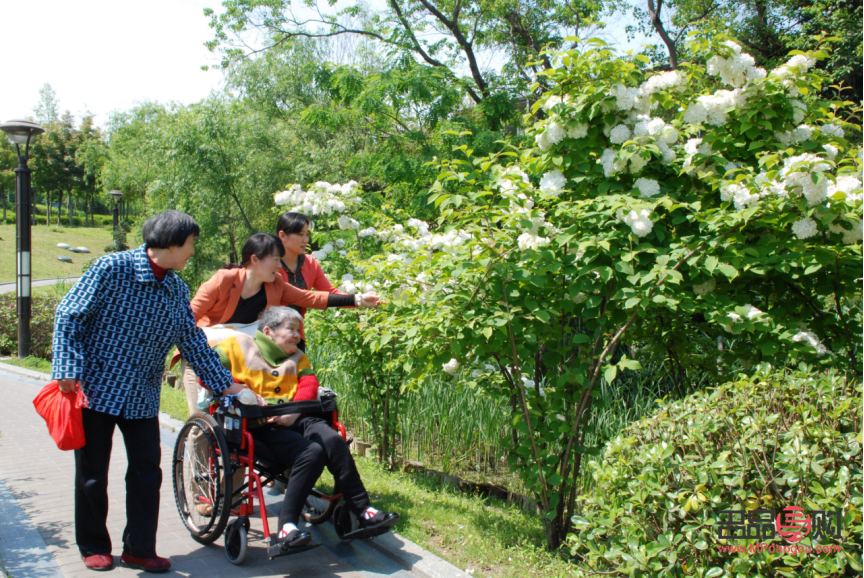 <h1>地表美容师：城市美化的绿色使者</h1>