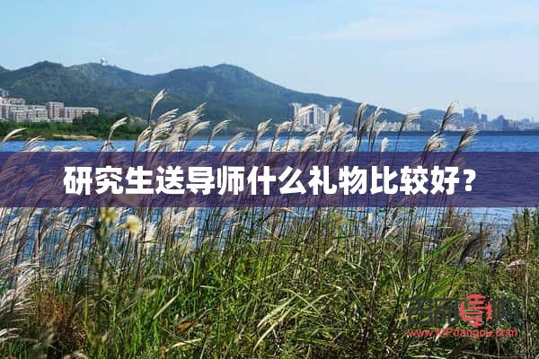 给研究生买什么礼物(给研究生买什么礼物好)