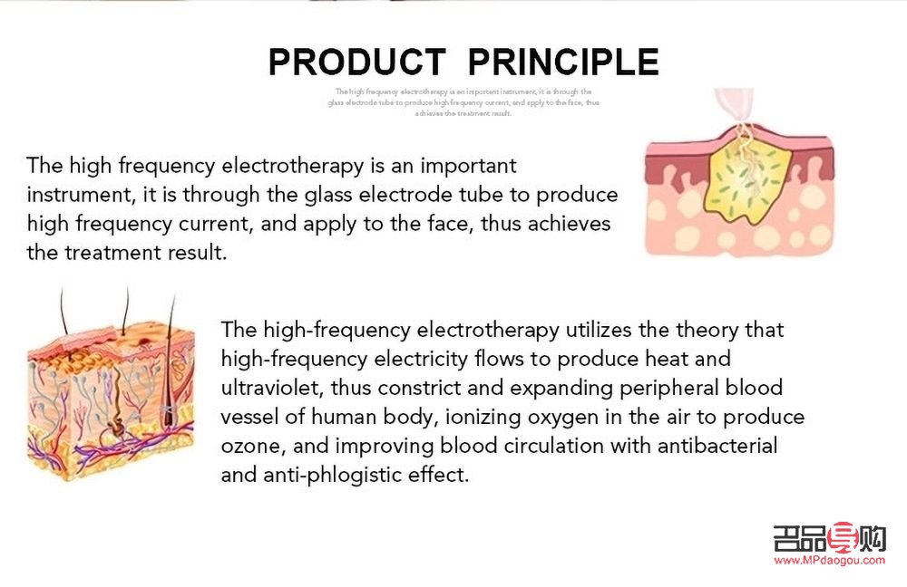 <h3>毛美容的类别及探究</h3>