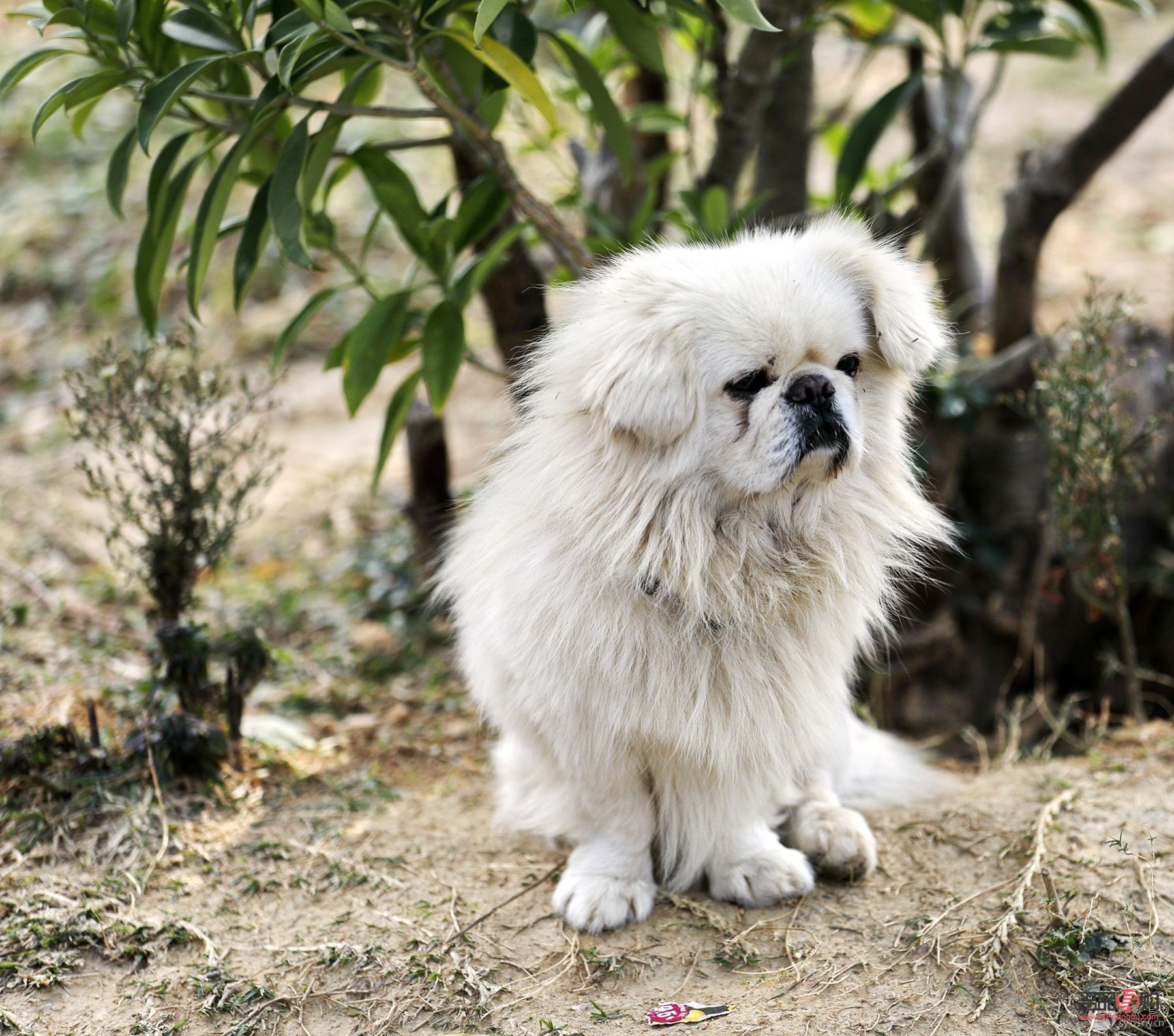 <h3>美容蔬菜大揭秘：让你的肌肤水嫩亮泽</h3>