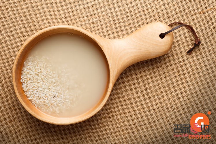 大米水美容吗(大米水可以美白吗)