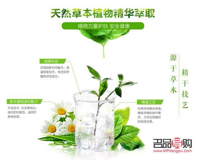 <h3>美容圣草大揭秘：这些草本植物让你的肌肤焕然一新</h3>